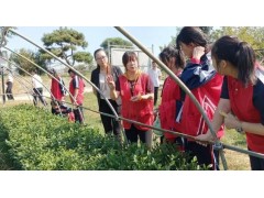 泰安市农科院：组织“农业科普进茶园，知识种子润心田”活动