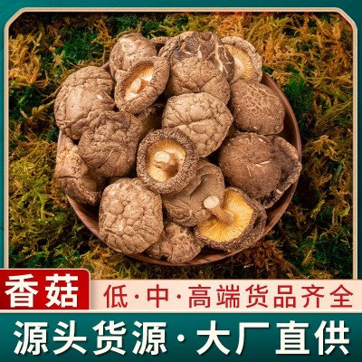 香菇干货批发云南菌菇源头货源厂家直供干蘑菇特产煲汤食材大量供