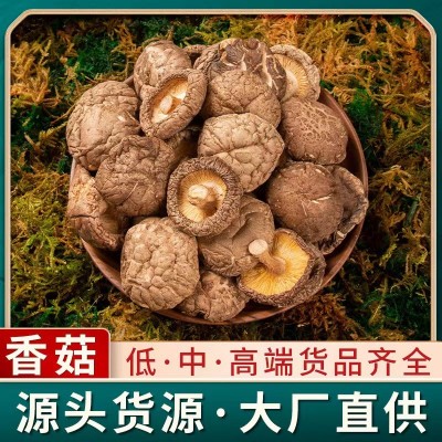 香菇干货云南特产无硫优质精选干香菇源头工厂批发煲汤炒菜好食材