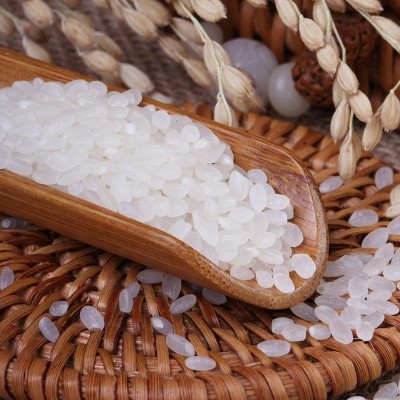 蟹田10kg产区直供20斤当年新磨珍珠米当季大米批发