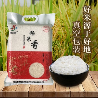 湖南大米5kg稻米香真空包装湖南特产珍珠米10斤厂家批发会销礼品