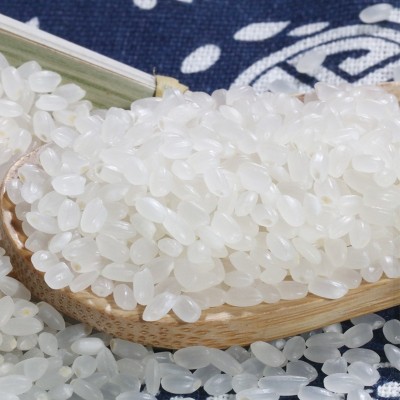 黑土嘉禾新米厂家批发东北大米10斤珍珠米圆粒公司采购 大米5kg