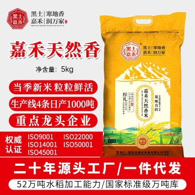 新米东北大米黑土嘉禾香米5kg编织袋长粒香米淡香型香米 大米