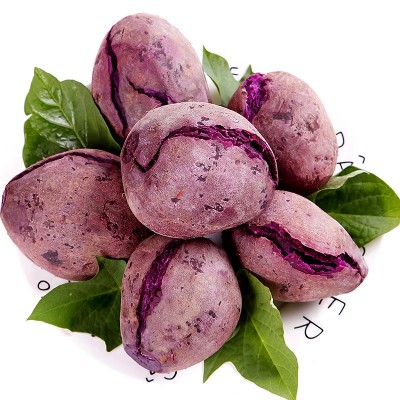 越南品种小紫薯新鲜现挖红薯5斤地瓜农家番薯板栗薯正宗珍珠紫薯