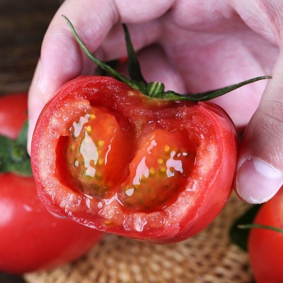 批发普罗旺斯西红柿3斤5斤装现摘新鲜沙瓤番茄水果柿子蔬菜大番茄