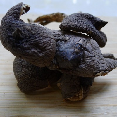云南干鸡枞 火把鸡枞 菌菇 250克/袋 煲汤菌菇