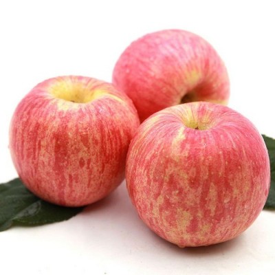 山西红富士苹果当季新鲜水果脆甜苹果一件代发