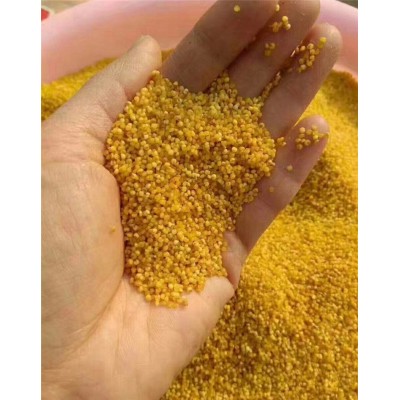 山西沁州黄原产地厂家直供小米2500克袋装（可订做）