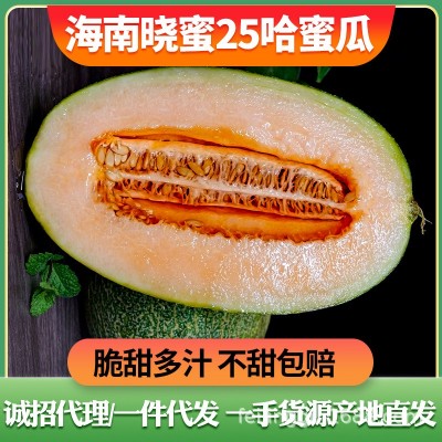 海南哈密瓜新鲜水果批发3/5斤晓蜜25号甜瓜网纹瓜一件代发整箱