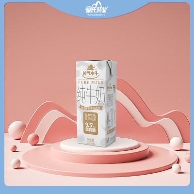 神气水牛纯牛奶 9.5g乳蛋白营养高钙皇氏乳业常温早餐250ml*12盒