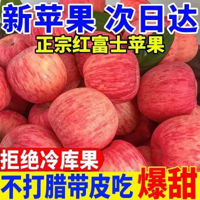 【超值价】陕西正宗洛川红富士苹果10斤冰糖脆甜多汁特级孕妇水果