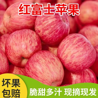 山西红富士冰糖心苹果新鲜3/5/9斤孕妇水果应季苹果支持代发