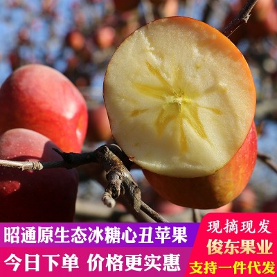 云南昭通苹果高原红富士冰糖心丑苹果新鲜采摘水果3斤5斤9斤包邮