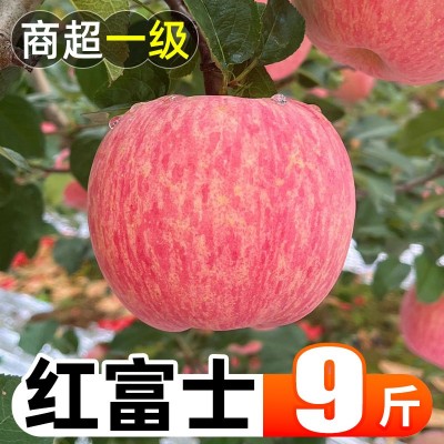 山西红富士苹果9斤新鲜水果应当季整箱丑萍果嘎啦苹果冰糖心包邮5
