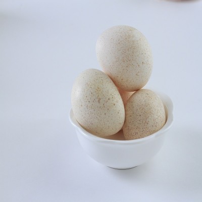 火鸡蛋—原生态火鸡蛋散养火鸡蛋新鲜火鸡蛋孕妇食品宝宝辅食10枚